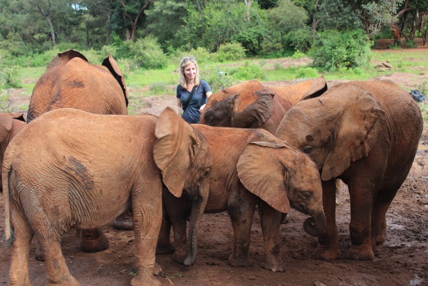 Tammi Matson with a group of elephants