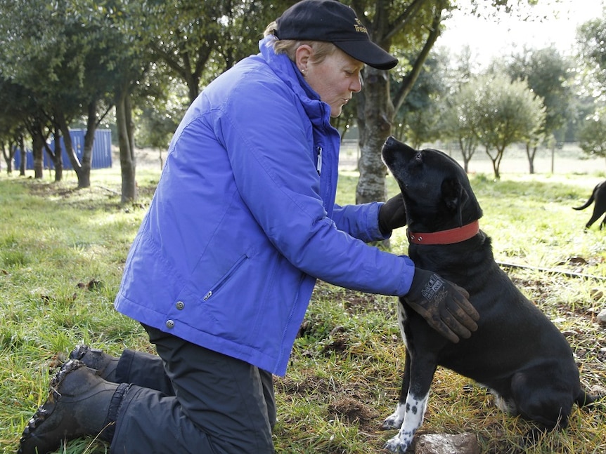 Sue Daly with truffle hunting dog Holly at her farm.
