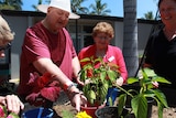 Patients planting at Mackay Hospital