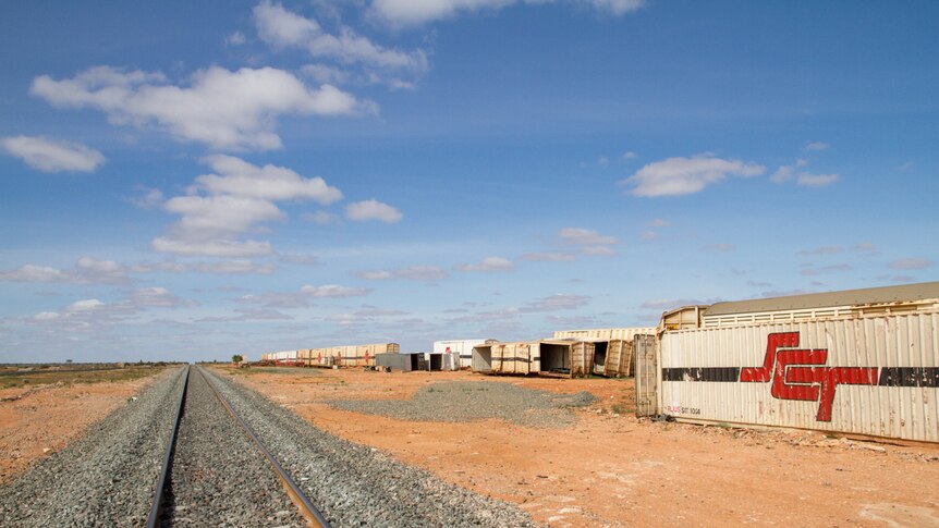 A collection of freight containers, most open to the weather, beside a rail line.