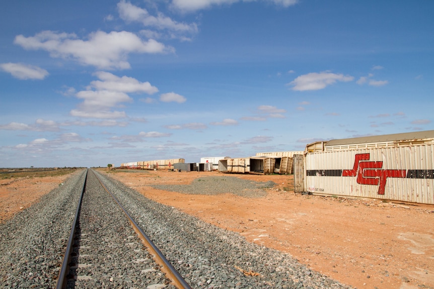 A collection of freight containers, most open to the weather, beside a rail line.