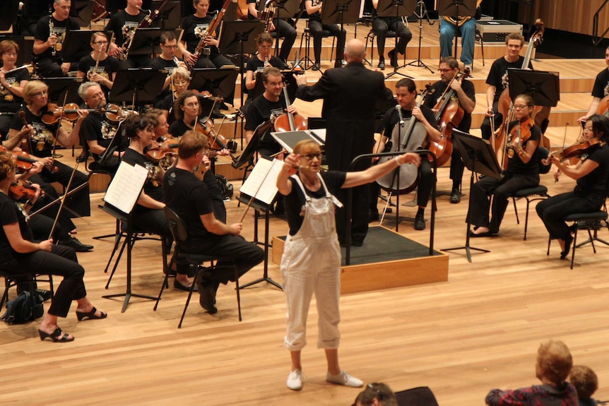 The Queensland Symphony Orchestra performs a concert for children