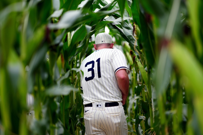 Liam Hendrik seen from behind pushing through a field of corn