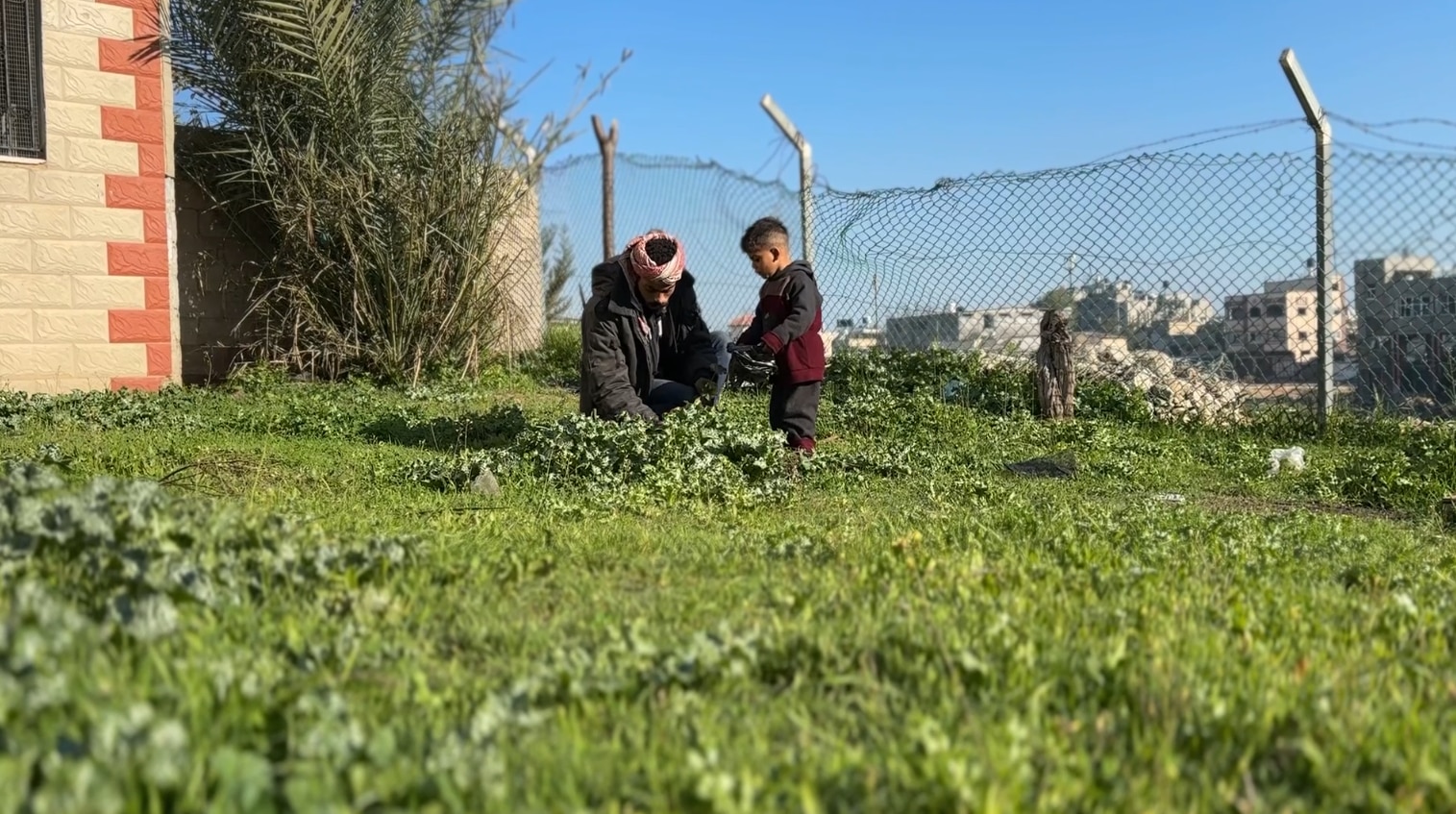 A man bends down in a field littered with weeds with his son. 