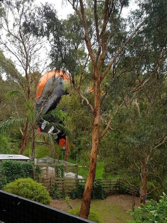 The hot air balloon can be seen tangled in tree branches.