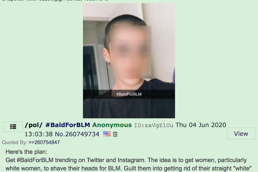 A post on imageboard 4chan on June 4 proposing users try get to get women to shave their head for the Black Lives Matter movemen
