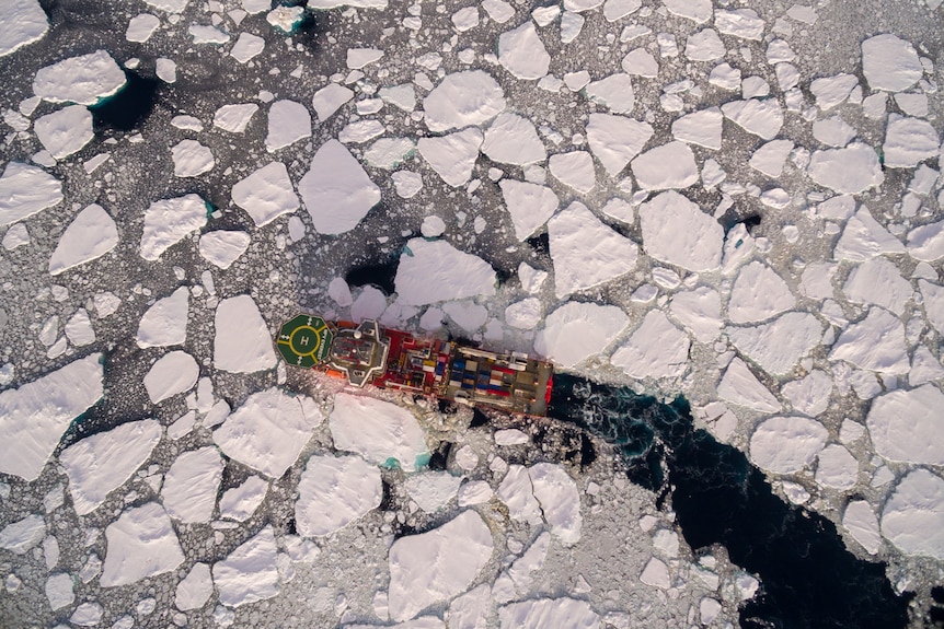 Aerial view of a red Antarctic vessel breaking through ice.