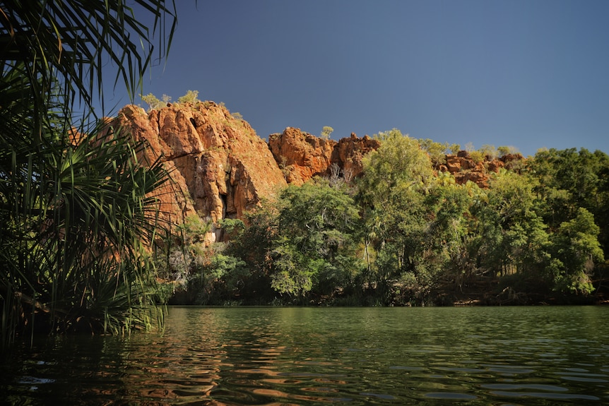 A red cliff and trees beside a body of water.