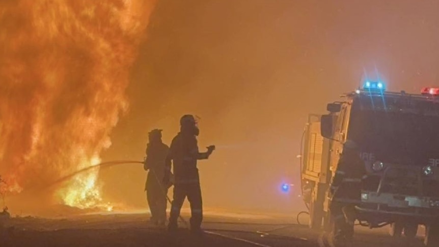 Firefighters hosing down a bushfire.