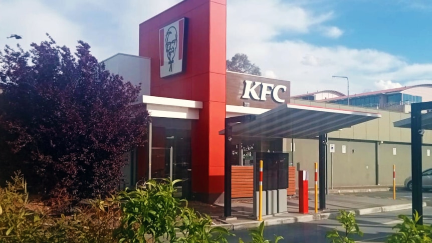 Some shrubs in the foreground near a KFC restaurant, with striking red architecture.