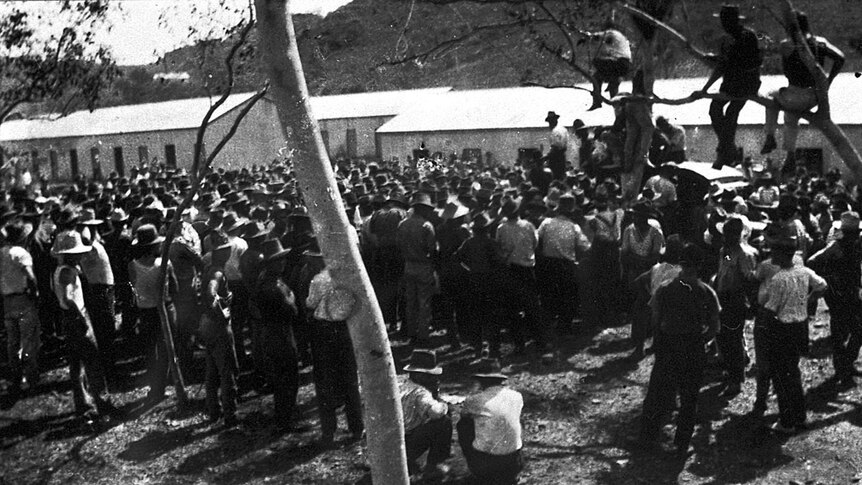 An old black and white image of a large group of men, some sit in a tree.