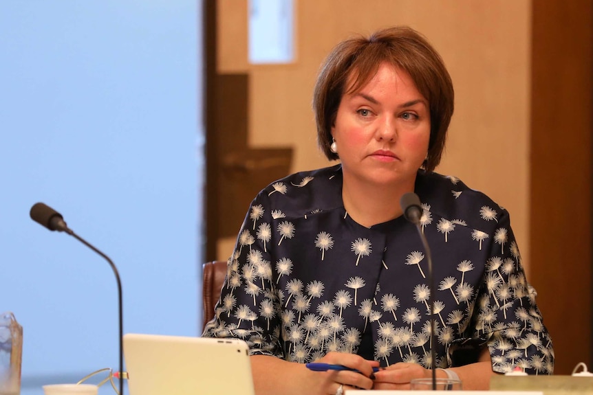 Senator Kimberley Kitching sitting in a Senate committee. She's wearing a navy blouse with white dandelions.