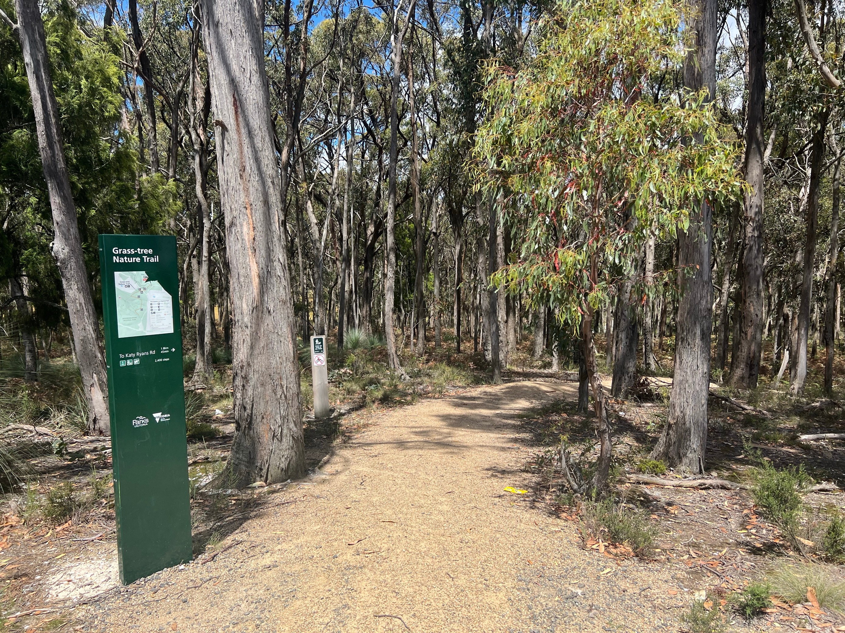 A walking trail through bushland. 