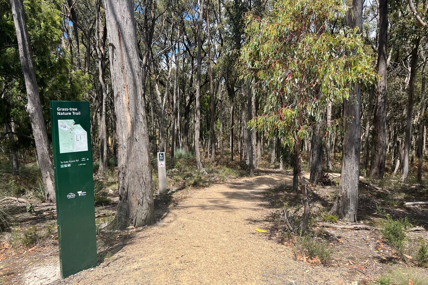 A walking trail through bushland. 