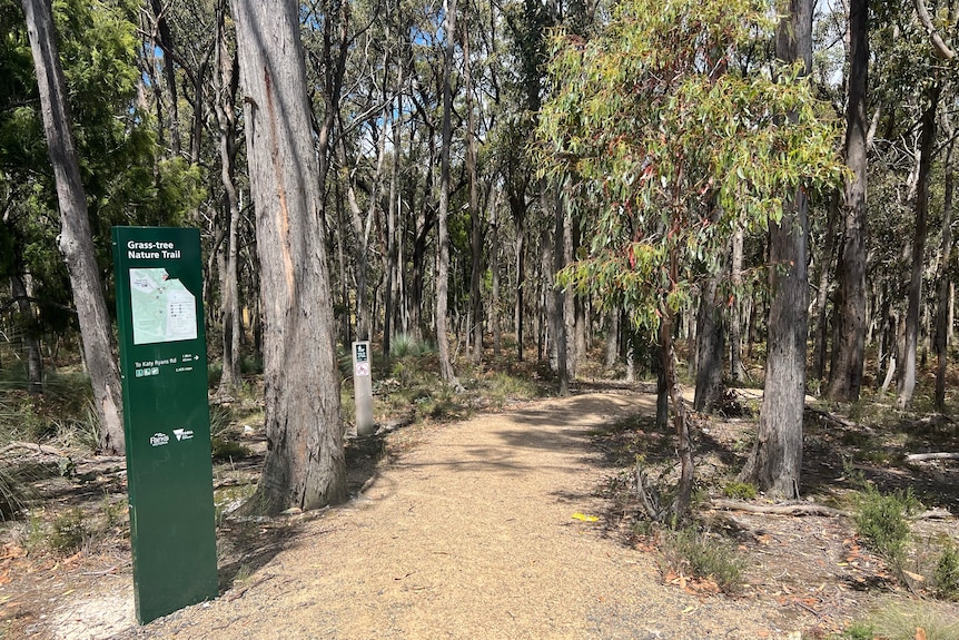 A walking trail through bushland. 