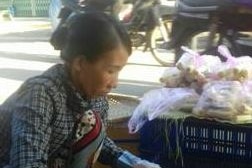 Tran Thi Thanh Loan working