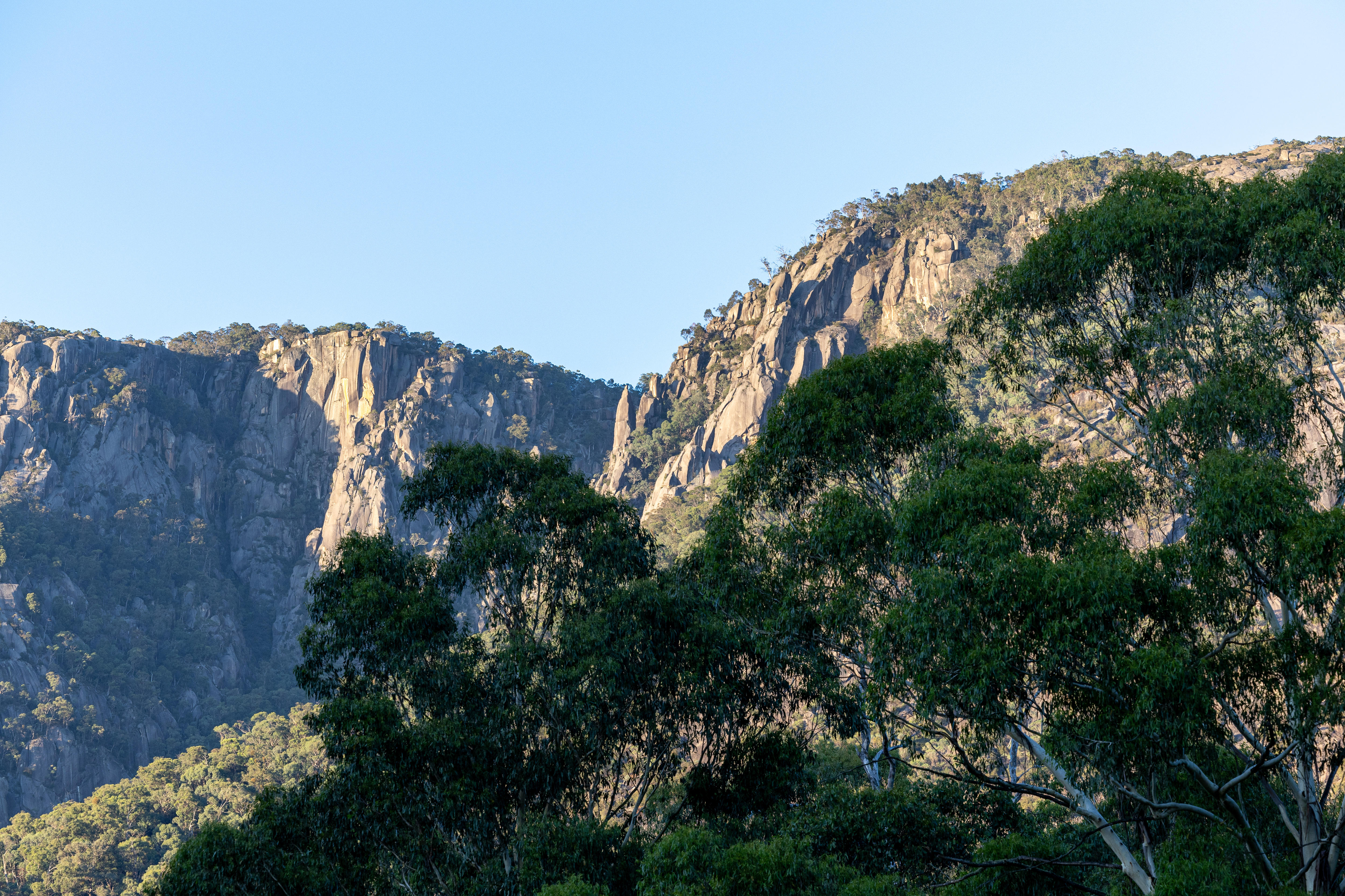 A landscape showing trees with a mountain range in the background.