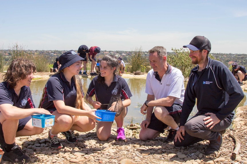 Teenage school students and two adult men squat next to a pond, suburbia in distance.