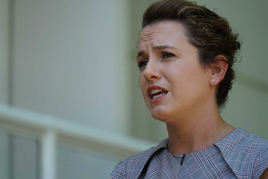 Lia Finocchiaro is speaking outside NT Parliament. She is wearing a grey dress.