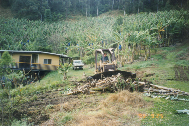 Bulldozer in front of old yellow house and banana plantation.