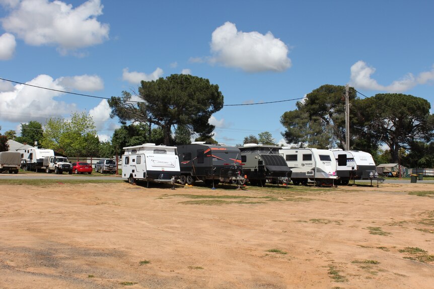 A line of caravans at a showground fringed with trees.