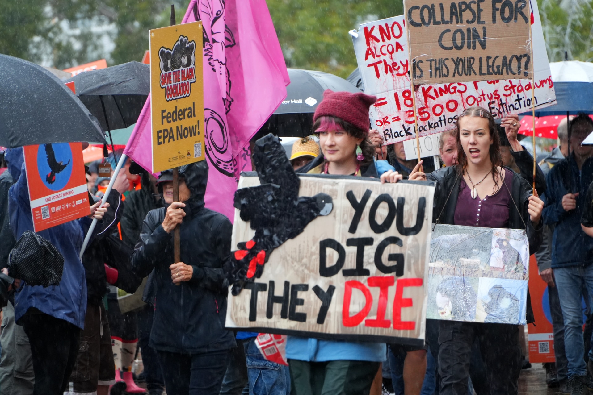 A crowd of people with environmental signs gathered at Parliament House.