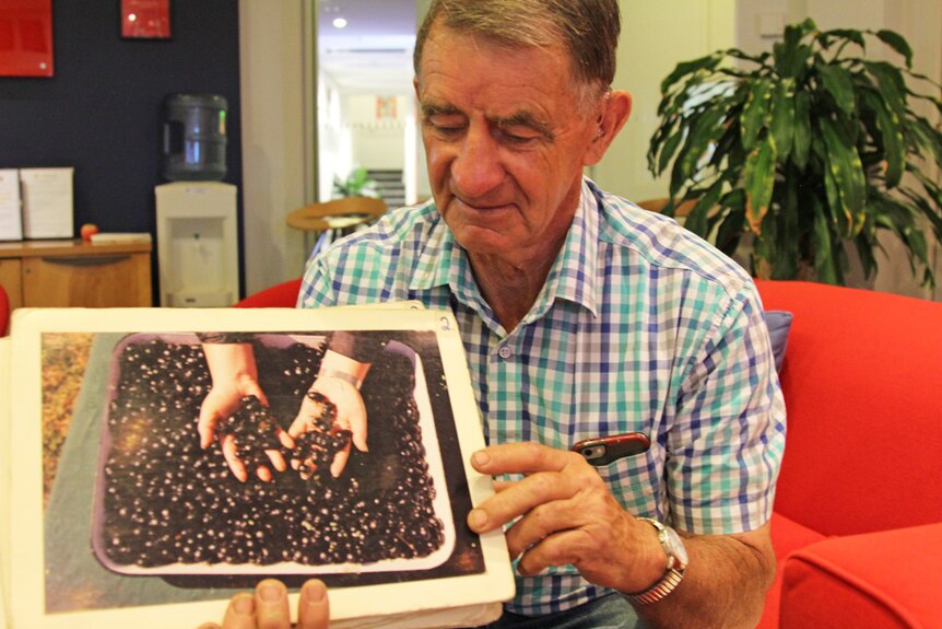 A man holding a picture of dung beetles.