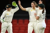 Ellyse Perry high-fives Alyssa Healy and Georgia Wareham after taking a wicket