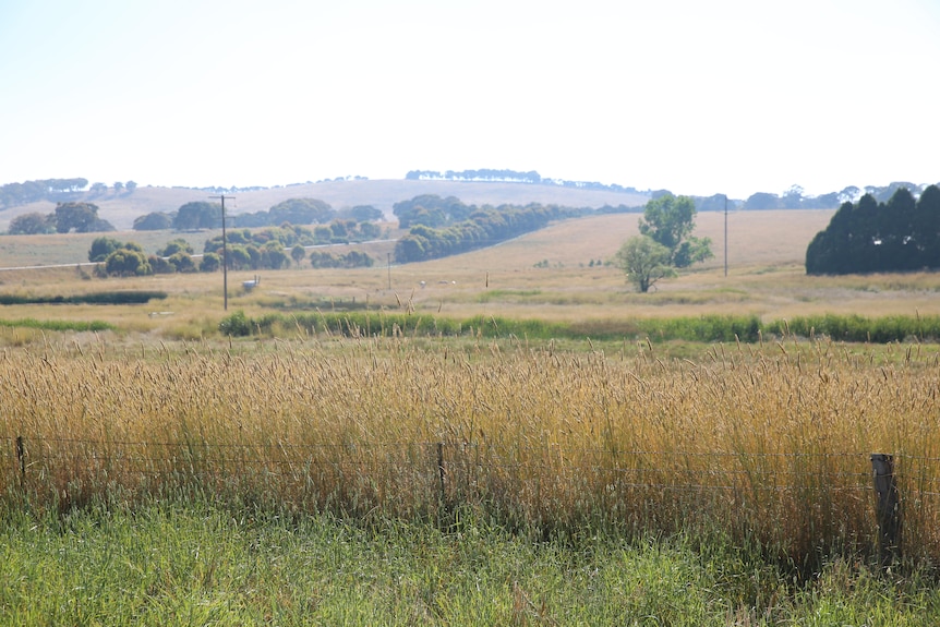 A damp, drab country landscape beneath an overcast sky.