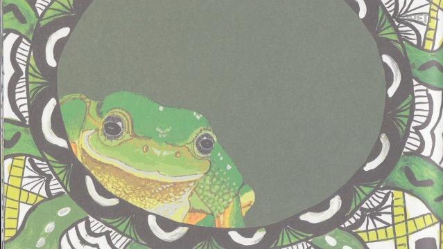Drawing of green tree frog