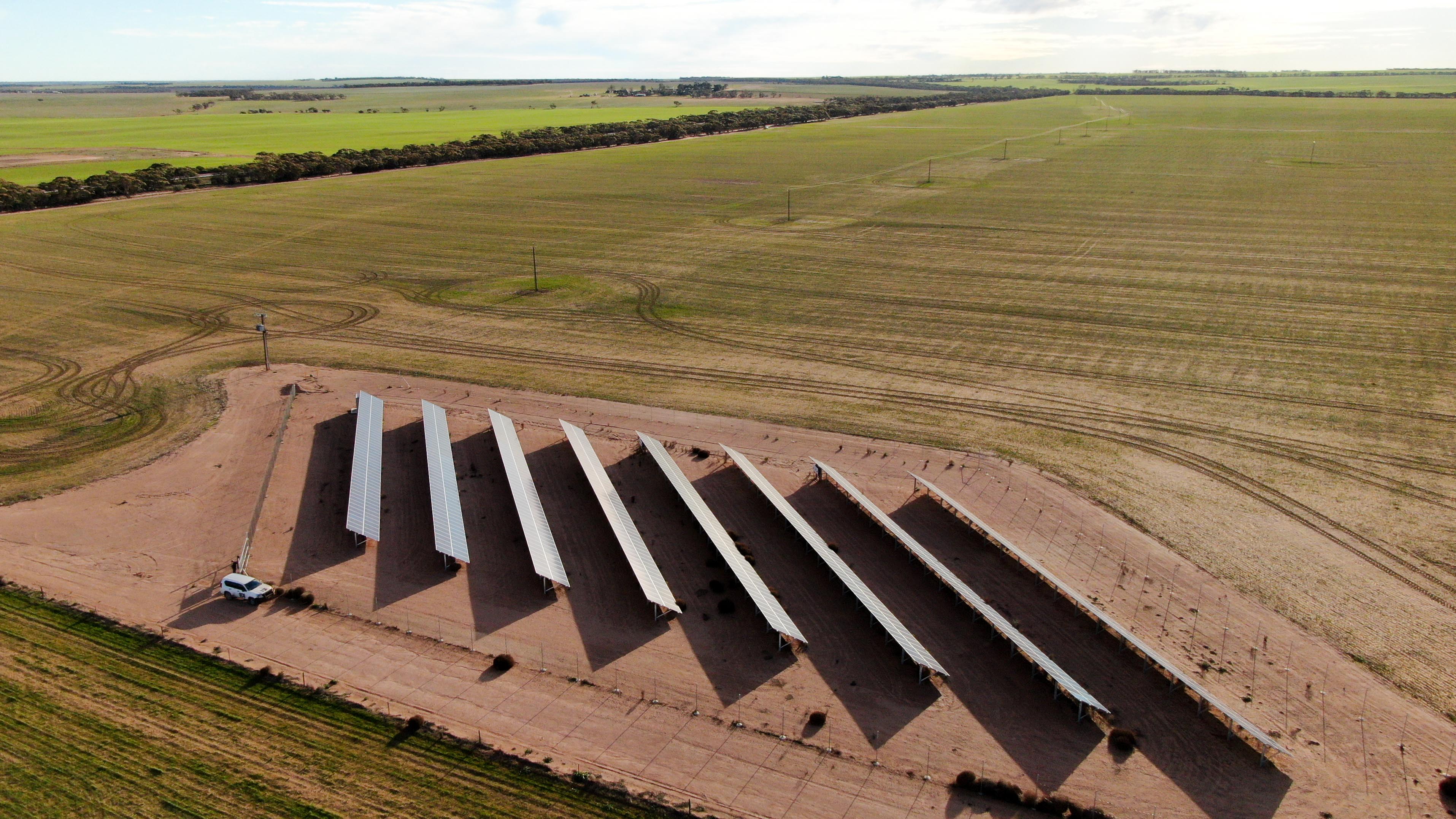Solar panels in the middle of a paddock