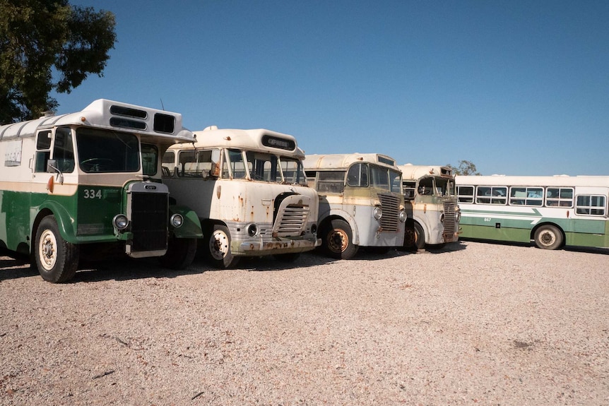 The yard of buses awaiting restoration at Whiteman Park.