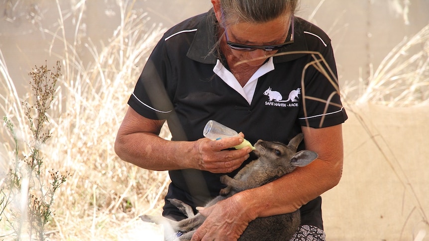 a woman holding a baby wallaby