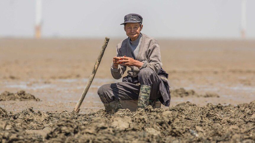 A worm farmer sits upon the mudflat