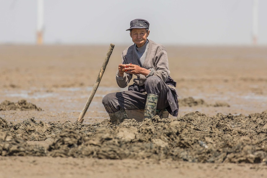 A worm farmer sits upon the mudflat