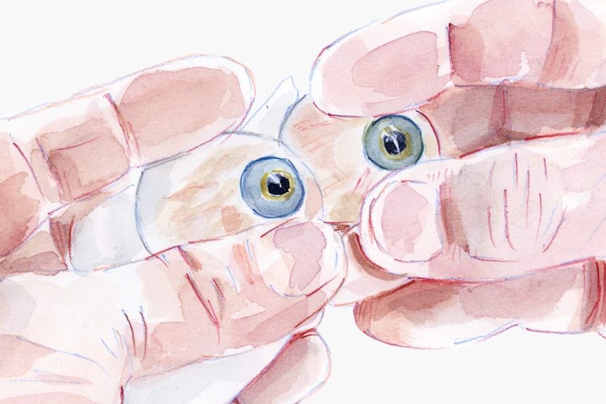 Illustration of hands holding a set of artificial eyes.