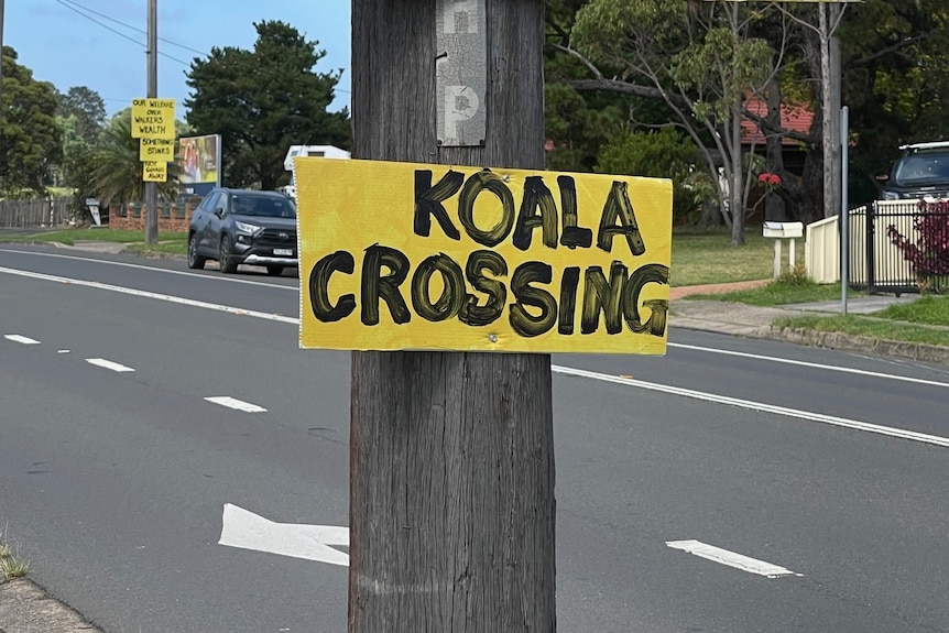 Señales que dicen cruce de koalas