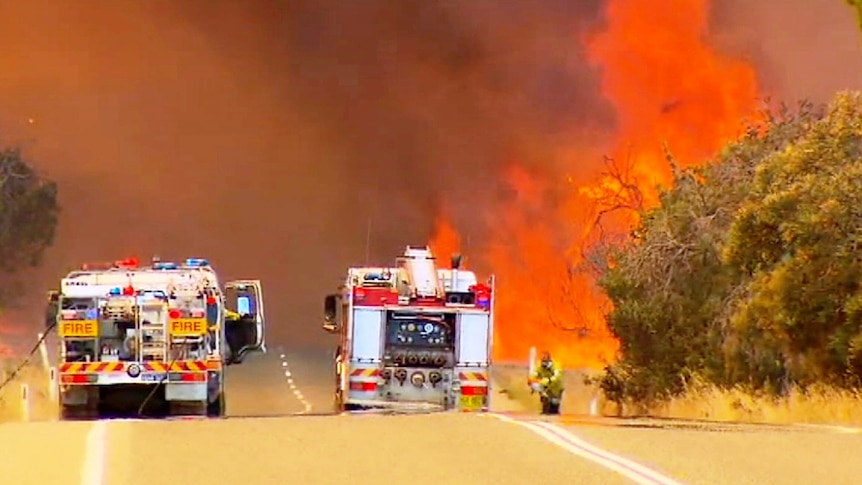 Fire trucks try and extinguish a bushfire at Bullsbrook in Perth January 11 2014