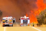 Fire trucks try and extinguish a bushfire at Bullsbrook in Perth January 11 2014