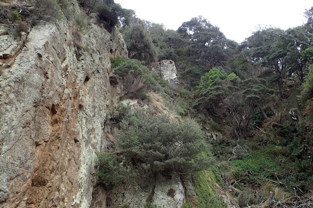 Cliffs at a Tasmanian coastline.