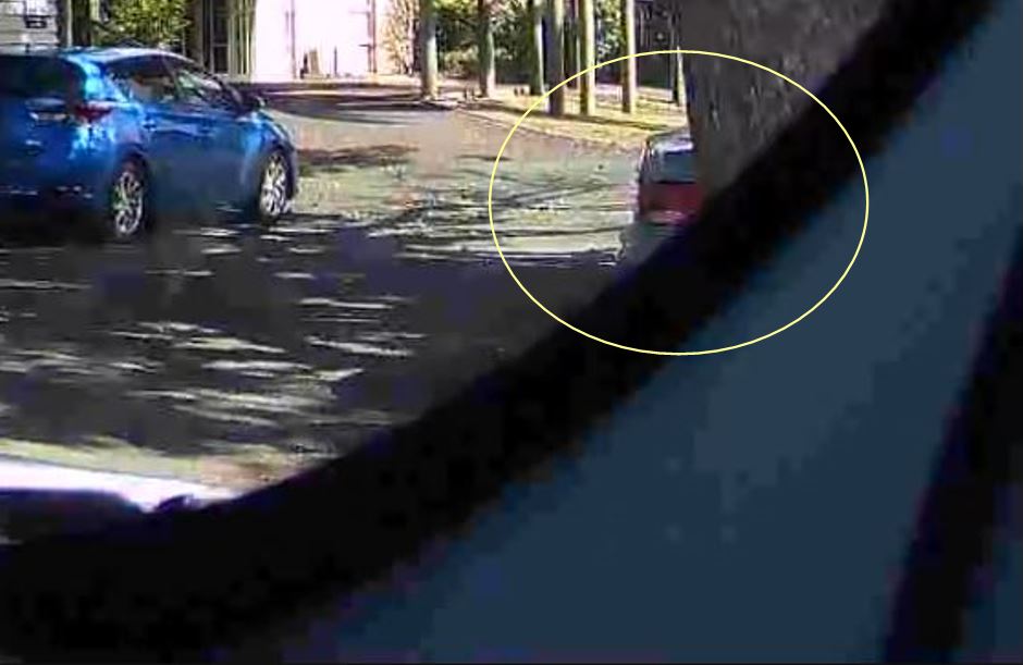 dashcam footage of car behind tree