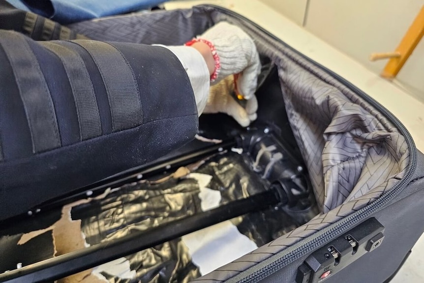 台湾有关部门在此人行李箱夹层内发现一包重达6.926公斤的白色粉状物，经鉴验为第一级毒品海洛因。