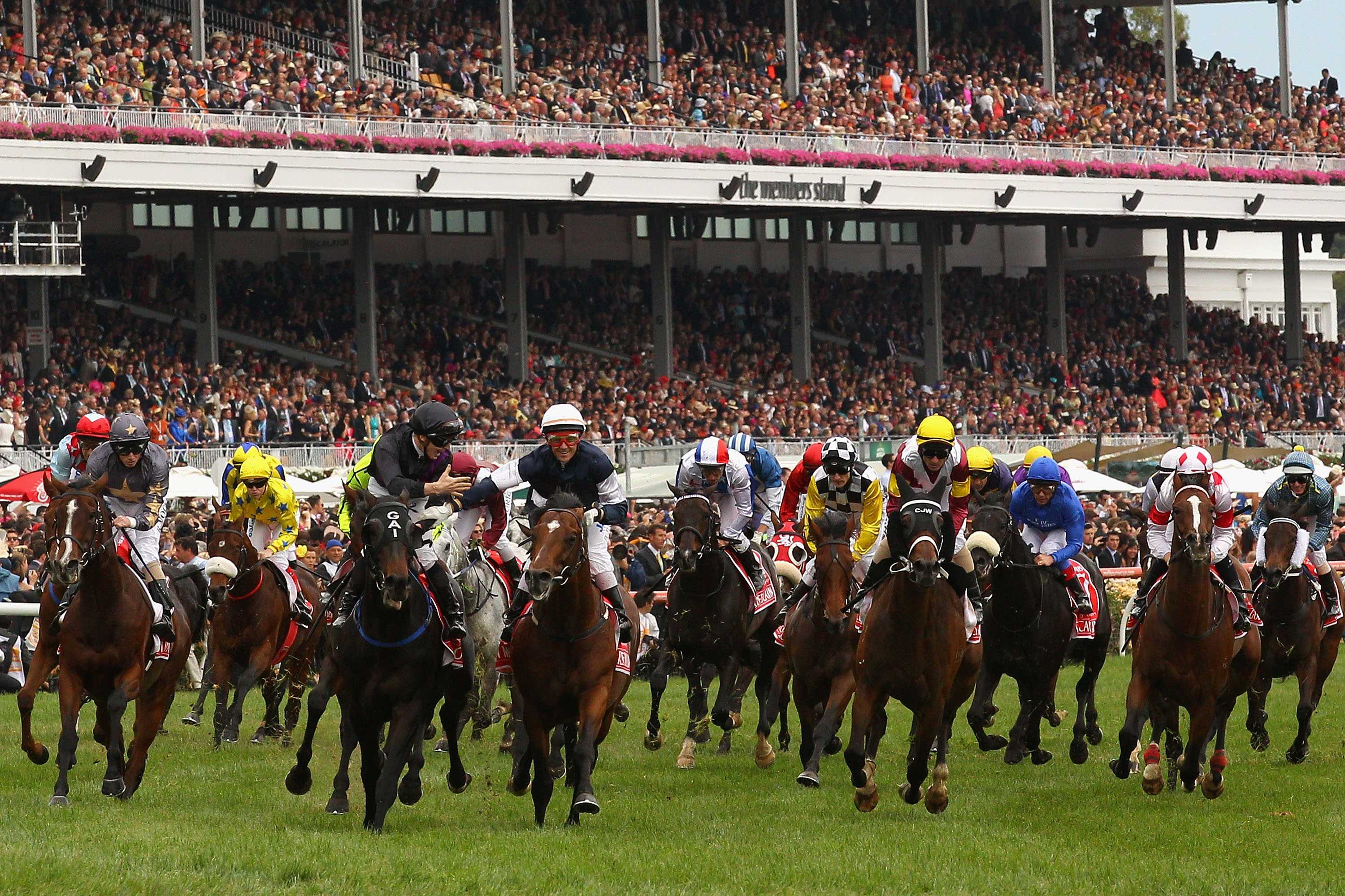 Кубок мельбурна в австралии