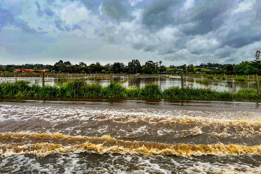 Floodwaters cover a road.