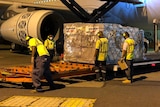 Airport workers unload cargo marked Australian Aid from a plane.