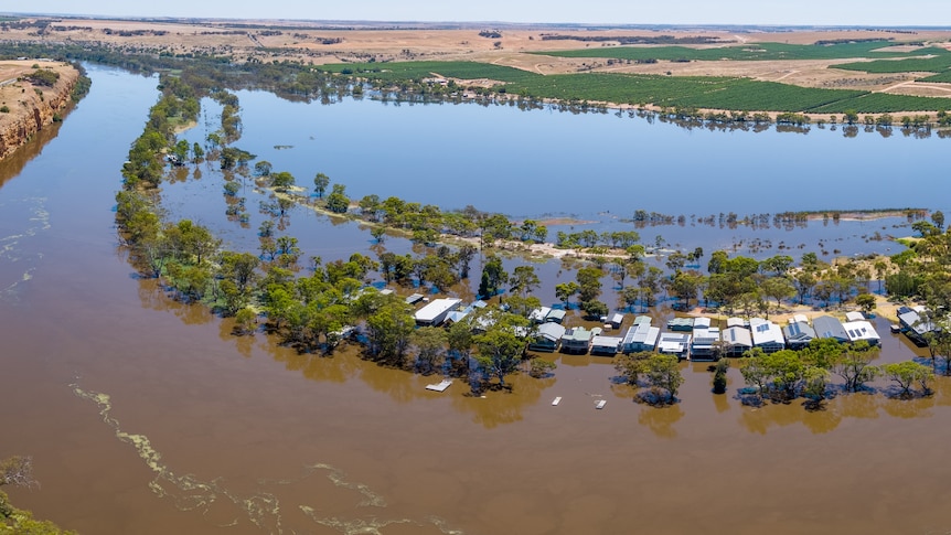 A birds eye view of brown flood water, with a line of shack roofs alongside a line of trees 