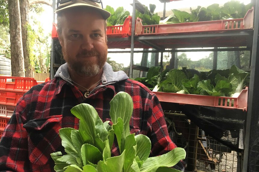 Farm manager Mick Warren standing with harvested crops.