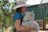 Sugarshine FARM co-owner Kelly Nelder holding a sheep