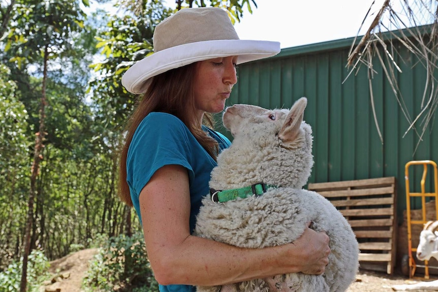 Sugarshine FARM co-owner Kelly Nelder holding a sheep