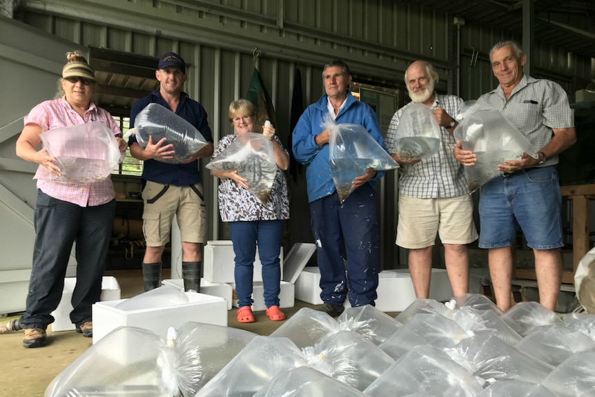 The volunteers standing behind the bags of fingerlings.